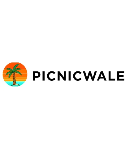 Picnicwale Travel Agency SEO and Performance Marketing Case Study